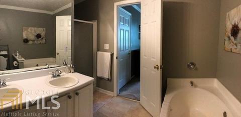 307 Lacebark, Hampton, GA 30228 photo 10