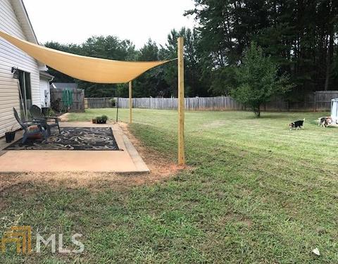 307 Lacebark, Hampton, GA 30228 photo 18
