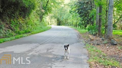 1617 Rock Quarry Cir, Toccoa, GA 30577 photo 6