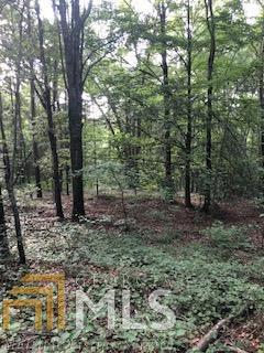558 Dotson Rd, Statham, GA 30666 photo 9