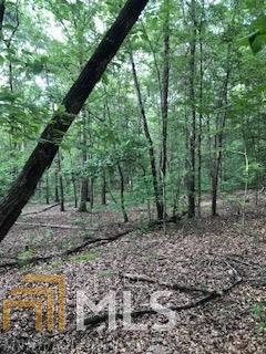 558 Dotson Rd, Statham, GA 30666 photo 8