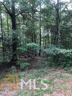 558 Dotson Rd, Statham, GA 30666 photo 6
