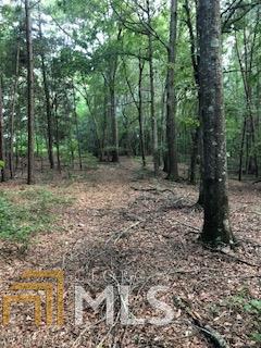 558 Dotson Rd, Statham, GA 30666 photo 10
