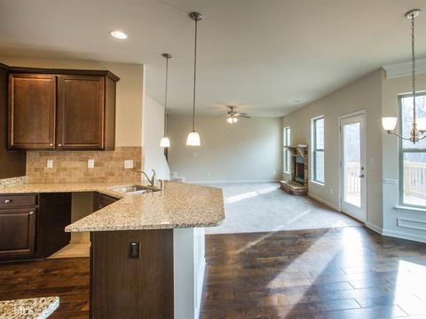 593 Caledon Way, Hampton, GA 30228 photo 10