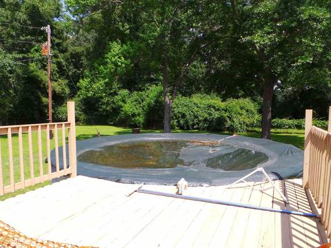 1459 Cordele Hwy, Pineview, GA 31071 photo 22