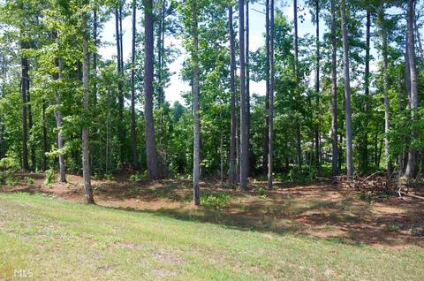 758 Ridgeview Ct, Hampton, GA 30228 photo 3