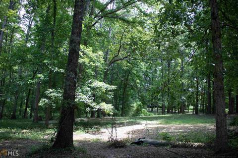 2730 Highway 3 S, Hampton, GA 30228 photo 27