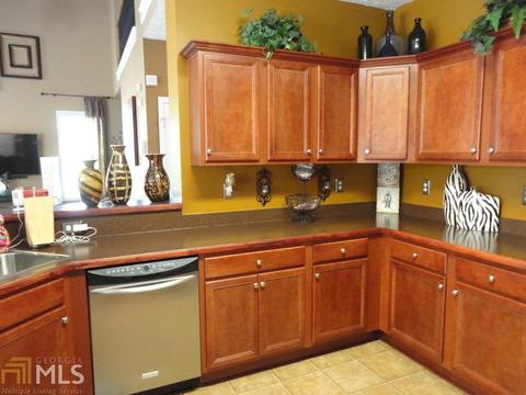 536 Bethelview Dr, Hampton, GA 30228 photo 13