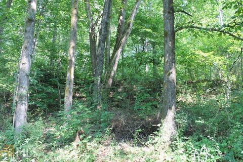 654 Pineview Rd, Toccoa, GA 30577 photo 5