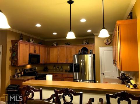 38 Plum Blossom Ln, Hampton, GA 30228 photo 23