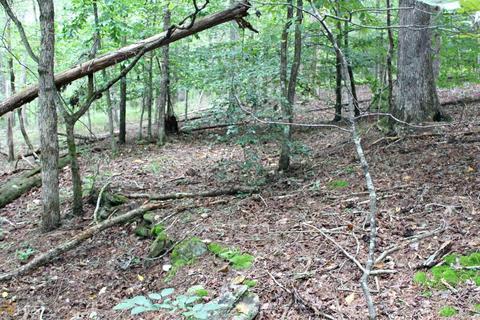 1585 Smith Loop Rd, Demorest, GA 30535 photo 7