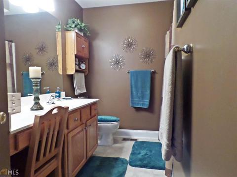 105 Summit Ln, Carnesville, GA 30521 photo 16