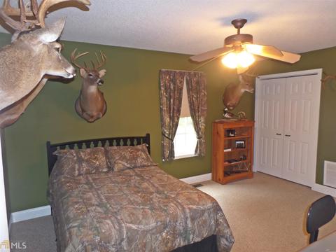 105 Summit Ln, Carnesville, GA 30521 photo 21