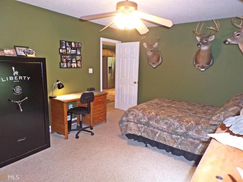 105 Summit Ln, Carnesville, GA 30521 photo 22