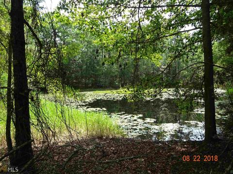 11151 Daisy Nevils Hwy, Claxton, GA 30417 photo 4