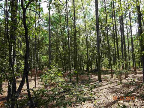 11151 Daisy Nevils Hwy, Claxton, GA 30417 photo 1