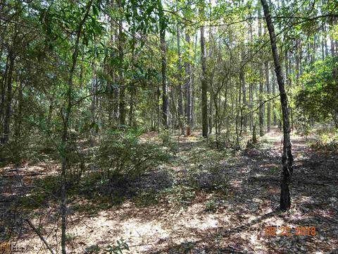 11151 Daisy Nevils Hwy, Claxton, GA 30417 photo 2