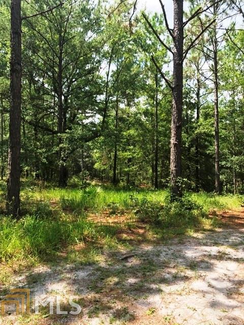 401 Stanfield Ln, Claxton, GA 30417 photo 8