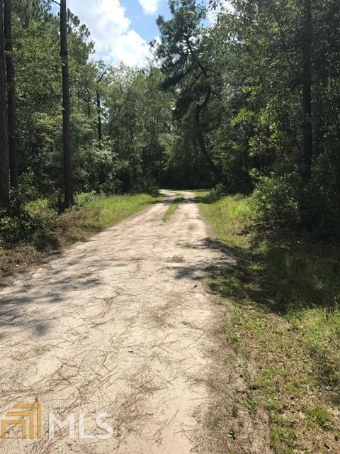 401 Stanfield Ln, Claxton, GA 30417 photo 5
