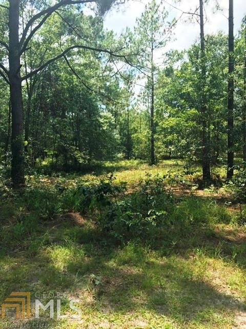 401 Stanfield Ln, Claxton, GA 30417 photo 7