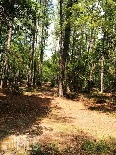 401 Stanfield Ln, Claxton, GA 30417 photo 22