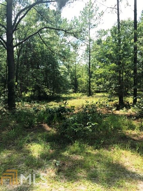 401 Stanfield Ln, Claxton, GA 30417 photo 4
