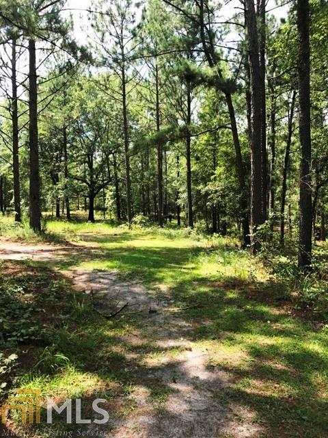 401 Stanfield Ln, Claxton, GA 30417 photo 1