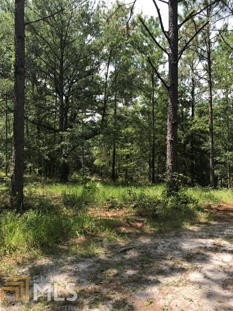 401 Stanfield Ln, Claxton, GA 30417 photo 3