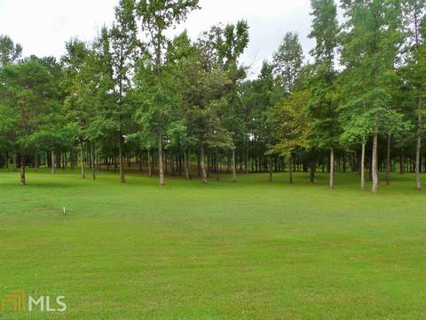 104 Old Farm Rd, Lagrange, GA 30241 photo 30