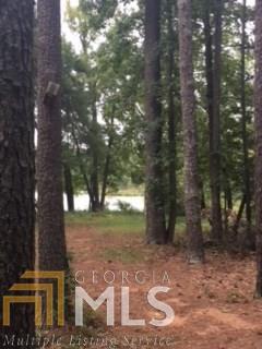 7150 Blacks Bluff Rd, Cave Spring, GA 30124 photo 6