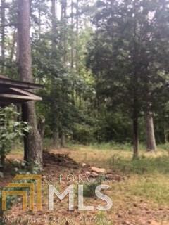 7150 Blacks Bluff Rd, Cave Spring, GA 30124 photo 14
