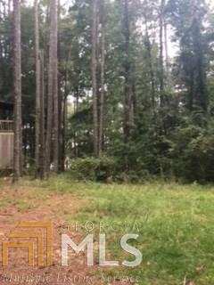 7150 Blacks Bluff Rd, Cave Spring, GA 30124 photo 15