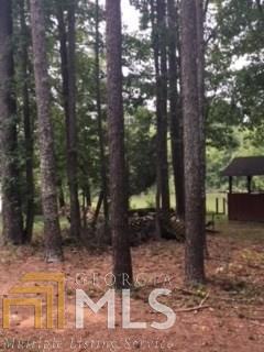 7150 Blacks Bluff Rd, Cave Spring, GA 30124 photo 10