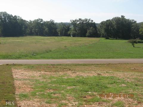 337 Middle Fork Ln, Carnesville, GA 30521 photo 4