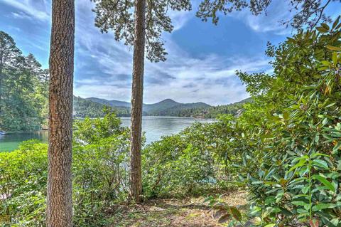 901 E Wildcat Rd, Clarkesville, GA 30523 photo 8