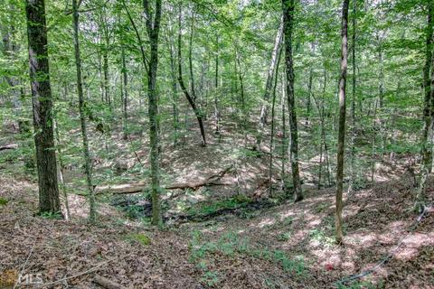 1809 Stark Rd, Jackson, GA 30233 photo 33