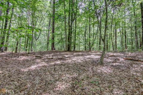 1809 Stark Rd, Jackson, GA 30233 photo 32