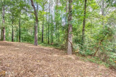 558 Lewis Rd, Canton, GA 30115 photo 29