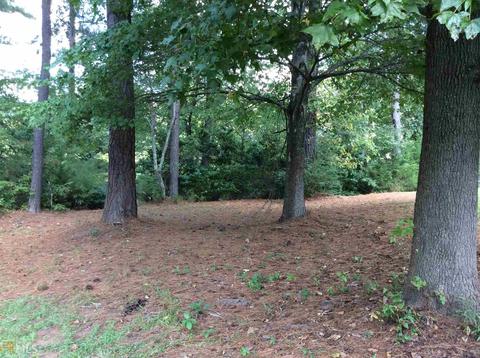 45 Mill Chase, Covington, GA 30016 photo 10