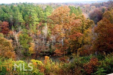150 River Ridge Dr, Carnesville, GA 30521 photo 19