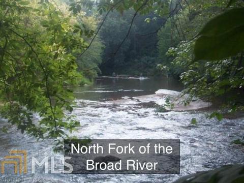 150 River Ridge Dr, Carnesville, GA 30521 photo 18