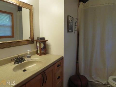 219 Cole Lake Dr, Toccoa, GA 30577 photo 16