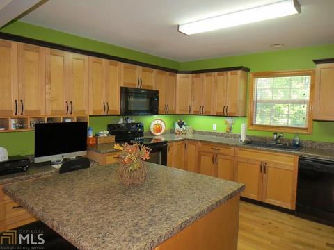 219 Cole Lake Dr, Toccoa, GA 30577 photo 6