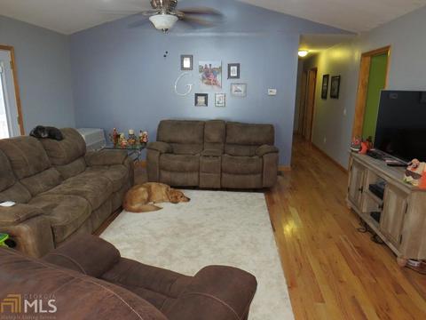 219 Cole Lake Dr, Toccoa, GA 30577 photo 10