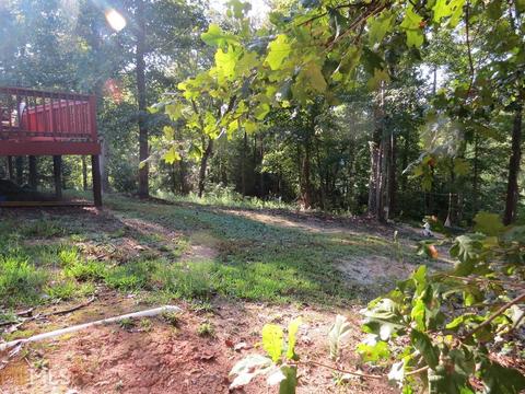 219 Cole Lake Dr, Toccoa, GA 30577 photo 32
