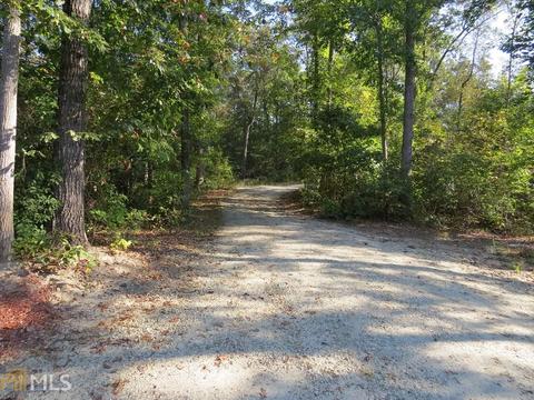 219 Cole Lake Dr, Toccoa, GA 30577 photo 30