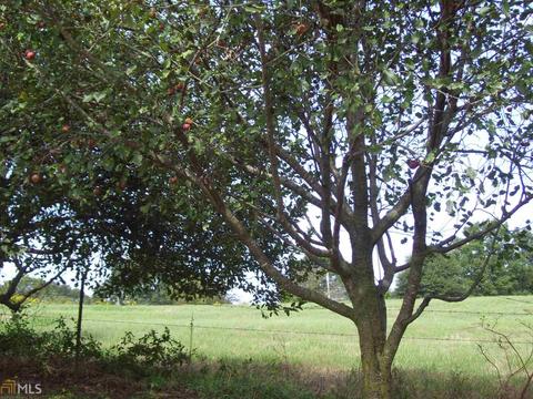 2264 Roach Rd, Royston, GA 30662 photo 20