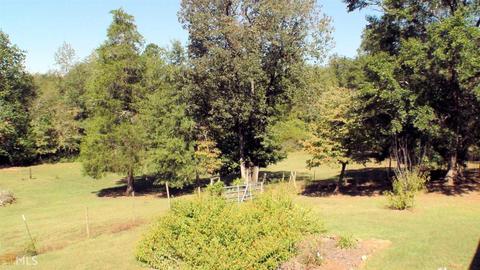 3655 Brownlee Rd, Forsyth, GA 31029 photo 10