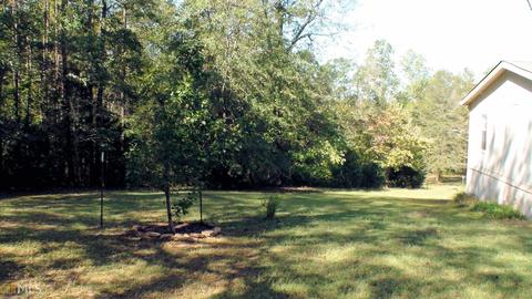3655 Brownlee Rd, Forsyth, GA 31029 photo 3