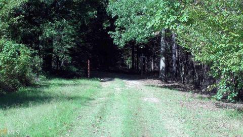 3655 Brownlee Rd, Forsyth, GA 31029 photo 4